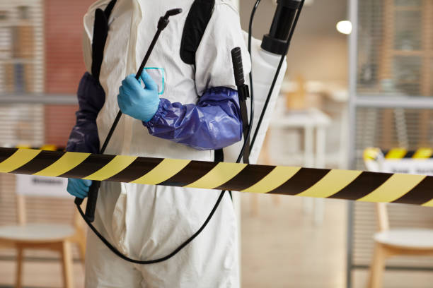 Professional Sewage Cleanup technician working in Pewamo, MI